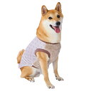【SS中ポイント10倍!】ペティオ 犬用ウェア E-Stretchお腹ウォームスムーストレーナーAWZ グレー M | Petio 犬用服 ペット 服 トレーナー かわいい おしゃれ 冬 あったか お散歩着 お散歩服 着せやすい ストレッチ ベロア 手洗い可 中型犬