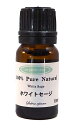 ホワイトセージ　アロマエッセンシャルオイル(精油)10ml