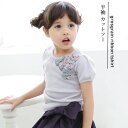 訳あり メール便OK 半袖 Tシャツ カットソー 女の子 キッズ フェミニン グログラン リボン かわいい 上品 無地 ラベンダー キッズ ジュニア 子供 こども 韓国 子供服 韓国子供服