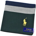 ポロ ラルフローレン ハンカチ 1枚 メンズ 綿 ブランド ハイブランド POLO Ralph Lauren グリーン 紺 ネイビー 白 ホワイト ボーダー イ...