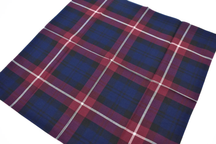 プチショコラのポロ ラルフローレン ハンカチ 1枚 メンズ ポロベア ベア くま 綿 ブランド ハイブランド POLO Ralph Lauren 紺 ネイビー × 赤 レッド チェック ロゴ 刺繍 男性 紳士 父の日 実用的 20代 30代 40代 50代 60代 70代 プレゼント ギフト おしゃれ ポイント消化｜アングル3