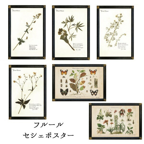 le Grand Chemin グランシュマン フルールセシェポスター アンティークポスター ポスター ドライフラワー 植物標本 レター レトロ アンティーク風 ステーショナリー【レターパックライト発送可能】