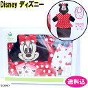 ディズニー Disney 出産祝い ミニーマウス ミニー 出産祝いギフトセット サイズ50〜70 3点セット ベビー服 331010610