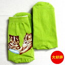 レディース　ソックス　靴下　23-25cm　THIS IS SOCKS　LIKE AN ART　VA-0017　猫　ネコ　ねこ