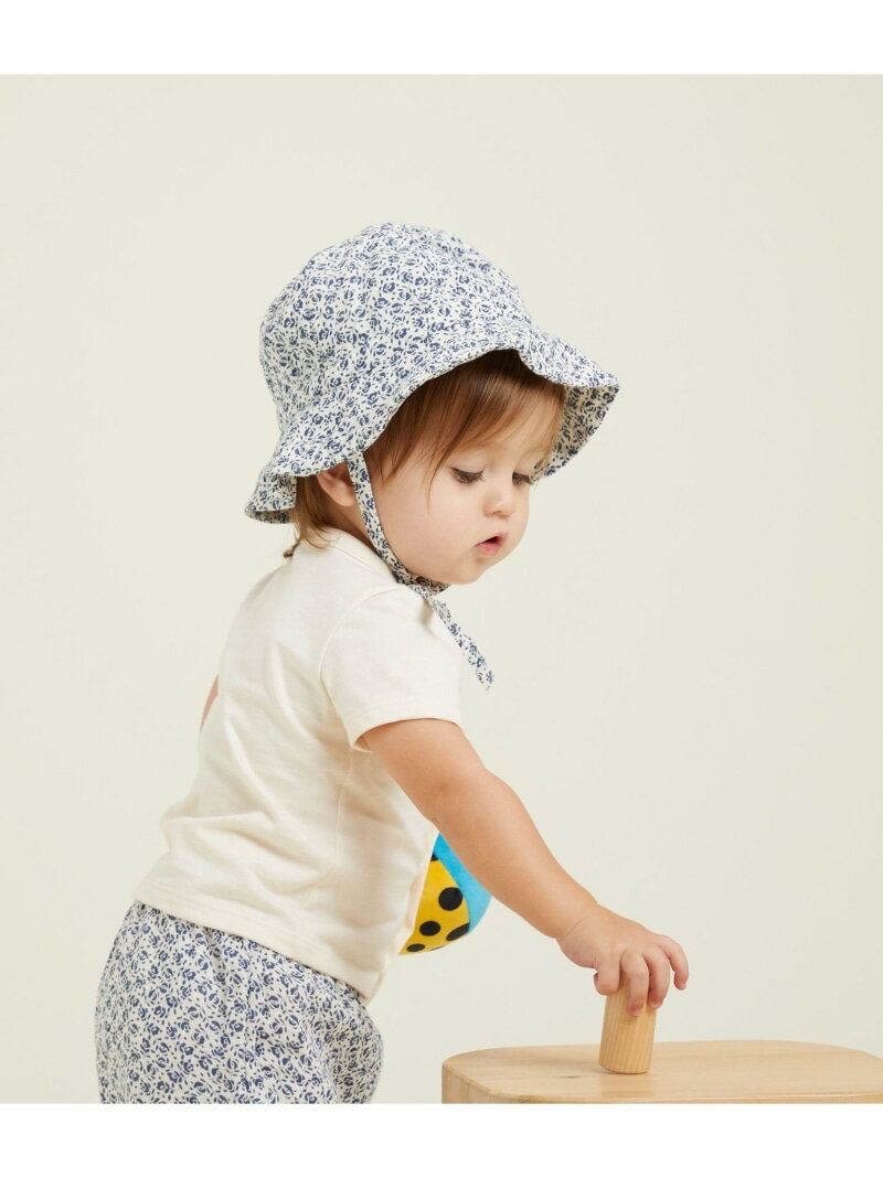 _uK[[NVF PETIT BATEAU v`og[ Xq nbgyz[Rakuten Fashion]