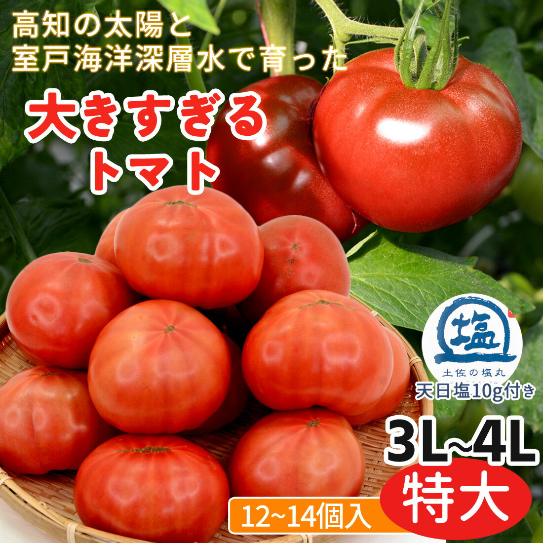 【西分直送】 トマト 3Lサイズ 特大サイズ 3L 4L 大きすぎるトマト 4kg 土佐の塩丸 天日塩付き ロックウール 水耕栽培 高知産 新鮮 産地直送 高知県産 家庭用 大玉トマト 4キロ さわやかな酸味 大サイズ びっくりサイズ トマトらしいトマト【送料無料】
