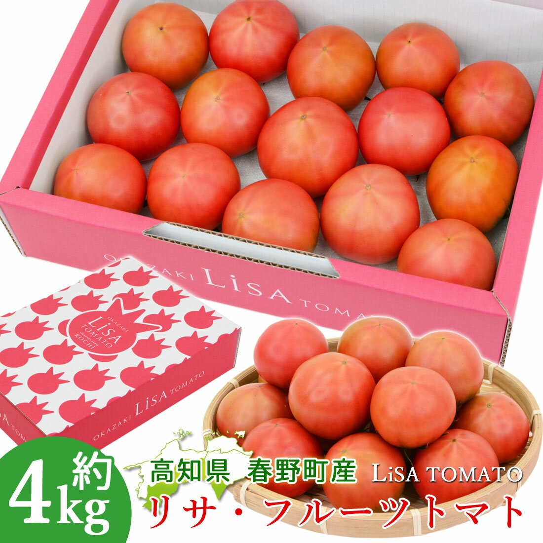 【諸木直送】 トマト Lisa フルーツトマト 4箱 100日トマト 春野町 高糖度トマト 高知産 新鮮 高知 糖度8度以上 高知県産 家庭用 ふるーつとまと 約4キロ 高知県のフルーツトマト まとめ買い 産地直送 のし メッセージカード対応【送料無料】