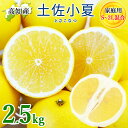 土佐小夏 S〜2Lサイズ 混合 千の果樹園 宿毛 小夏 高知産 家庭用 宿毛小夏 宿毛 日向夏 高知 ニューサマーオレンジ 2.5キロ フルーツ 柑橘 柑橘類 ...