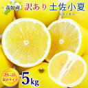 訳あり 土佐小夏 2S〜2Lサイズ 混合 5kg 小玉 千の果樹園 宿毛 小夏 高知産 家庭用 宿毛小夏 宿毛 日向夏 高知 ニューサマーオレンジ 5キロ フル...