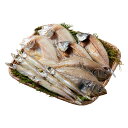 山陰海鮮一夜干しセット(6365-40) 4824-278 海鮮セット 魚 干物 乾物 アジの開き カレイ ギフト お中元 夏ギフト 暑中見舞い 贈り物 のし無...