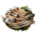 山陰海鮮一夜干しセット(6366-50) 4824-280 海鮮セット 魚 干物 乾物 アジの開き カレイ ギフト お中元 夏ギフト 暑中見舞い 贈り物 のし無料 お取り寄せ グルメ 内祝い 父の日 敬老の日 プレゼント お祝い お礼 お歳暮 御歳暮 贈答品 【送料無料】