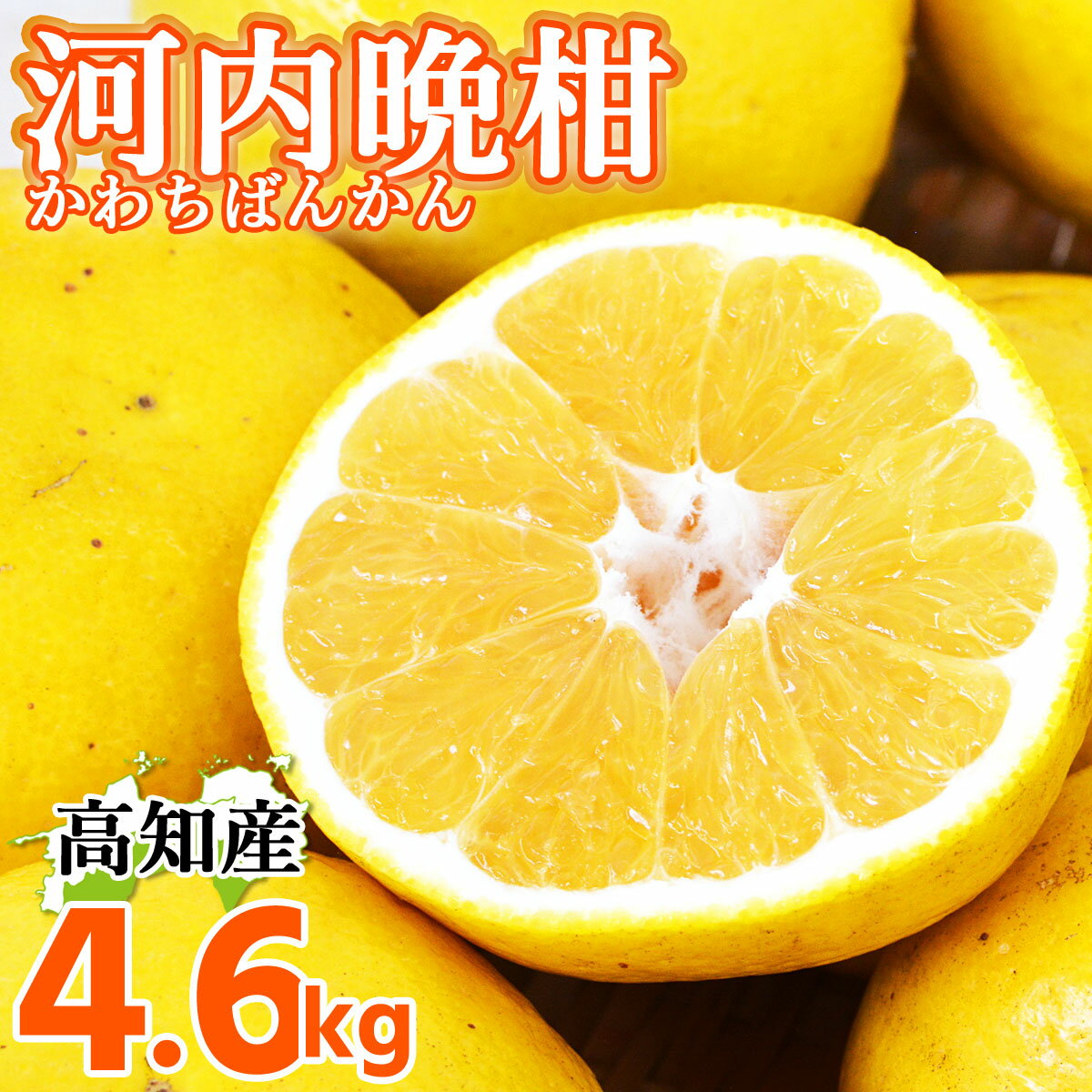 河内ばんかん 高知県産 宿毛 特産 河内晩柑 4.6kg L～4L サイズ不揃い 家庭用 訳あり 美生柑 生産農家直送 夏文旦 夏ブンタン まろやか ジューシー かわちばんかん 夏 柑橘 高知県で数件しか栽培されていない宿毛市産の貴重な逸品です！【送料無料】