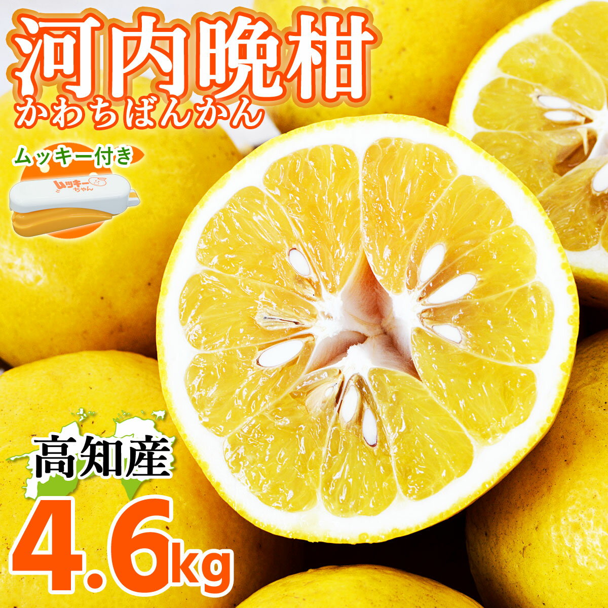 河内ばんかん 高知県産 宿毛 特産 河内晩柑 ムッキー付き 4.6kg L～4L サイズ不揃い 家庭用 訳あり 美生柑 生産農家直送 夏文旦 夏ブンタン まろやか ジューシー かわちばんかん 夏 柑橘 高知県で数件しか栽培されていない宿毛市産の貴重な逸品です！【送料無料】