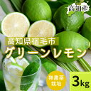 グリーンレモン 無農薬 高知産 レモン 3kg 檸檬 国産 皮ごと食べられる 国産レモン 3キロ 産地直送 高知県宿毛市 産直 グルメ 出荷時期によりグリーンか...