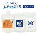 完全天日塩 土佐の塩丸 30g にがり 170ml 3点セット 国産 苦汁 お塩 高知産 天日謹製 天然ニガリ ミネラル補給 二代目 ソルティーブ 高知 天然塩...