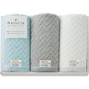 ナチュクル ふわふわ無撚糸 フェイスタオル3枚セット N-80300 ラッピング無料 のし無料 メッセージカード無料 ギフト ふんわり 吸水性 耐久性 内祝い ...