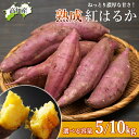 【先行予約】【兼松産直】 さつま芋 紅はるか 5kg 10kg 減農薬栽培 サイズ無選別 大月町 兼松農園 高知産 芋 さつまいも べにはるか 焼きいも サツマ...