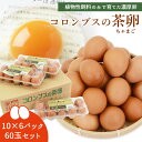 【卵産直】 卵 コロンブスの茶卵 10個×6 60玉 植物性飼料100% コロンブス ちゃまご 健菜 たまご 濃厚 赤玉 玉子 生卵 タマゴ 生たまご 魚粉不使...