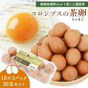 【卵産直】 卵 コロンブスの茶卵 10個×3 30玉 植物性飼料100% コロンブス ちゃまご 健菜 たまご 濃厚 赤玉 玉子 生卵 タマゴ 生たまご 魚粉不使用 緑茶粉末 茶葉 カテキン効果 新鮮 鶏卵 卵かけごはん 温泉卵 高知産 四万十町 目指したのは生臭くない卵【送料無料】