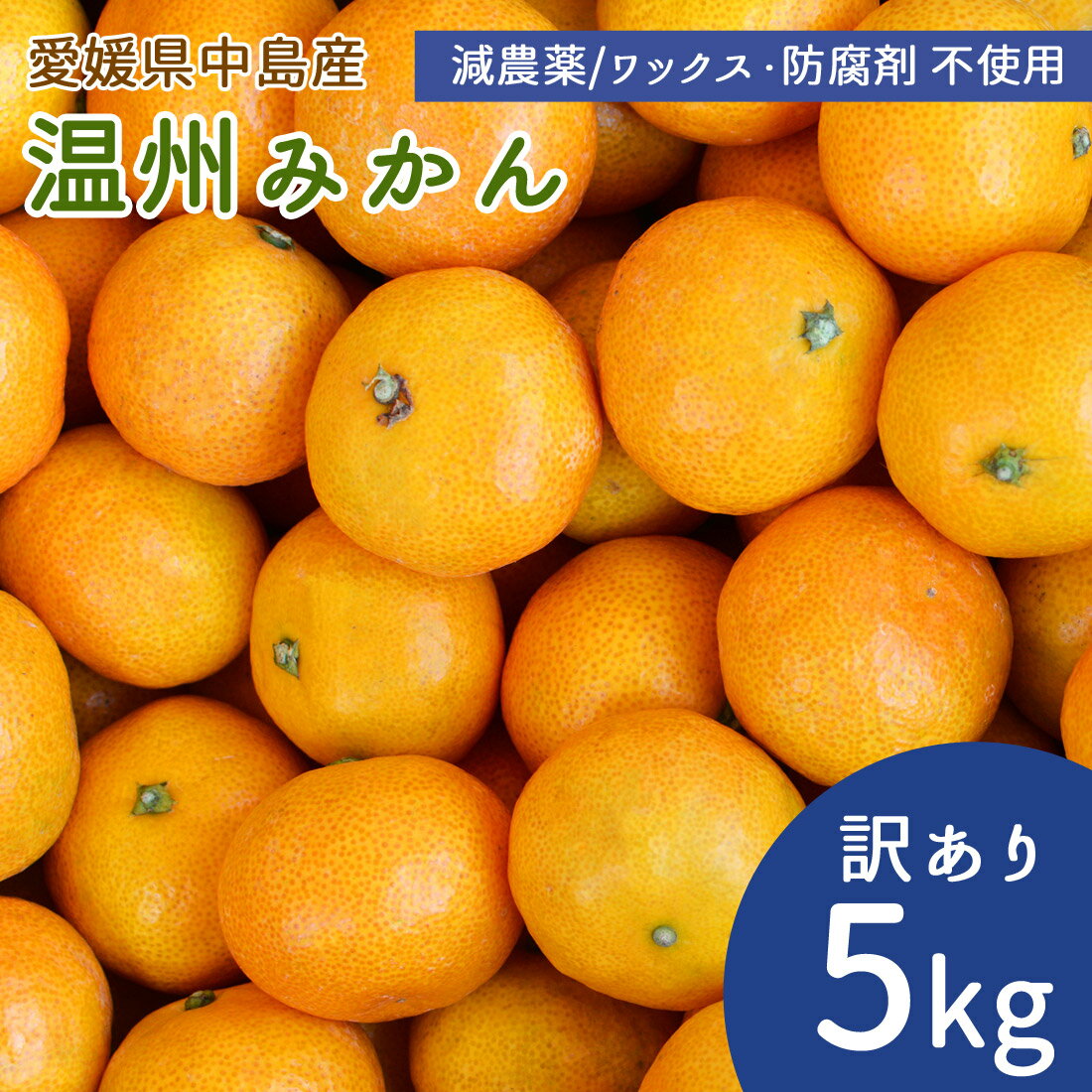 【予約】産地直送 訳あり みかん 5kg サイズ不揃い ミカン 温州み...(4)