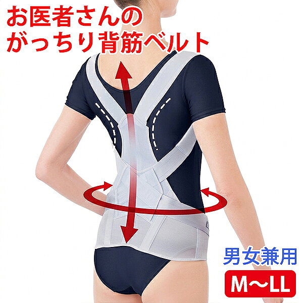 着けるだけで肩甲骨が押され背すじがピンと伸びる。 お医者さんのがっちり背すじベルトです。 両サイドのサイドベルトをキュッと締めることで丸くなった背筋を無理なく伸ばし、美しく健康的な姿勢をつくります。 通気性のよいメッシュ素材を使っており、1年を通して快適に着用することができます。 服の下に着ていても目立ちません。 動きの多い膝関節は両サイドの4本の特殊ボーンがサポートし、膝への負担を軽減してくれます。 女性や高齢者の方でも簡単に装着可能。 伸縮性、通気性に優れた素材で、どんな季節も快適に。 ・ロングボーン 約30cmのロングボーンで、背中〜腰までを一気に伸ばし支えます。 ・肩ベルト 柔らかなソフトゴムを使用しているので、やさしく肩にフィット。 ・脇パッド 脇部分は柔らかいパイル素材で食い込んでも痛くなりにくい。 ・骨盤ベルト 面ファスナーで骨盤周りを自由に調節できます。 ・サイドボーン 腰の両サイドを程よく支えます。 しなやかなボーンが日常生活の体の動きに沿ってサポート。 ・スライド式ベルト スライド式ベルトで背中を押し出し、背すじを伸ばします。 ・快適素材、簡単装着 背面はメッシュ素材で通気性があるので一年中快適に使用していただけます。 サイドのスライド式ベルトも本体と一体型でねじれにくく着けやすい。 日本整形外科学会整形外科専門医と共同開発 ■サイズ（約） M〜L：ウエスト65〜85cm L〜LL：ウエスト75〜95cm ■重量（約） M〜L：190g L〜LL：195g ■素材・成分：ナイロン、ポリエステル、ポリウレタン ■生産地：日本 ＜注意事項＞ ご覧になっているモニターや撮影環境の違いにより実際の商品と多少色味が異なって見える場合がございます。予めご了承下さいませ。 【2607r】