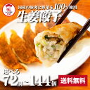 【ZIP・めざましテレビで紹介】生姜餃子 送料無料 ギフト 生姜たっぷり にんにく不使用 しょうが 餃子 ぎょうざ ギョウザ 生餃子 冷凍餃子 冷凍生餃子 冷凍...