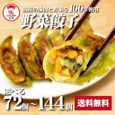 【ZIP・めざましテレビで紹介】野菜餃子 送料無料 ギフト 野菜たっぷり にんにく不使用 ニンニクなし 餃子 ぎょうざ ギョウザ 生餃子 冷凍餃子 冷凍生餃子 ...