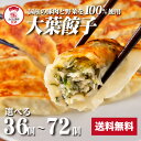 【ZIP・めざましテレビで紹介】大葉餃子 おおば 送料無料 ギフト 餃子 ぎょうざ ギョウザ 生餃子 冷凍餃子 冷凍生餃子 冷凍食品 業務用 大容量 お取り寄せ...