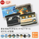 【GW最大20%offクーポン】【正規品】 ポケモン ネックウォーマー ルカリオ リザードン レックウザ ポケットモンスター pokemon ボア キッズ ネッ...
