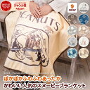 【最大10%offクーポン】 スヌーピー ひざ掛け PEANUTS ピーナッツ (100×70cm) ブランケット 毛布 肩掛け ポンチョ ルームウェア かわい...