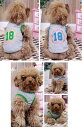 犬 服 ドバズ 春夏背中18ロゴタンクトップ【メール便送料無料、代引き不可】DL1204