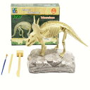UTST 恐竜スティラコサウルス 角龍 草食恐竜 化石発掘セット (スティラコサウルス)