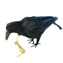 ONESORA カラスよけ 鳥よけグッズ 本物そっくり リアル羽毛カラス 【小振りサイズ1羽】 ぶら下げて吊るすだけ カラス撃退(3)