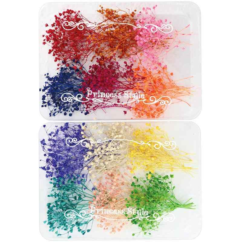 Princess-style ミニ かすみ草 ドライフラワー レジン ハーバリウムボールペン 材料 花材 パーツ 小分..