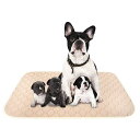 ULIGOTA ペットシーツ 洗える 猫 犬用 おしっこパッド ペット用 トイレ下敷きマット 速乾 洗える ポリエステル 大判サイズ 多頭飼いに最適(ベージュX...