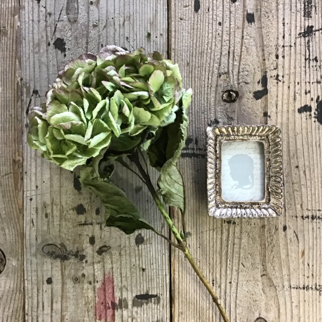 【単品ドライフラワー】【大輪アジサイ1本】単品ドライフラワー、花材、花資材、壁掛け、玄関に！インスタ映え！ばら売りドライフラワー、アンティークグリーン、