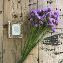 【単品ドライフラワー】【スターチス】単品ドライフラワー、花材、花資材、壁掛け、玄関に!インスタ映え!ばら売りドライフラワー、