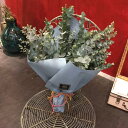 ユーカリの花束【生花】/スワッグに!DIY/カントリー/ナチュラル/キッチン玄関飾りに/ハンドメイド/インスタ映えに!ドライフラワーに!