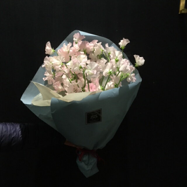 �ڥԥ󥯥����ȥԡ��۽ո��ꡪ�����ǥʥ������£ʪ������/´��/����/���ָ���/���������ե�/�İ�����/�ԥ󥯿������ȥԡ�/�ԥ����֡��ָ��ա���С�