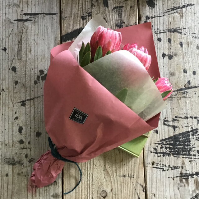 プロテアの花束【生花】/スワッグに!DIY/カ...の紹介画像3