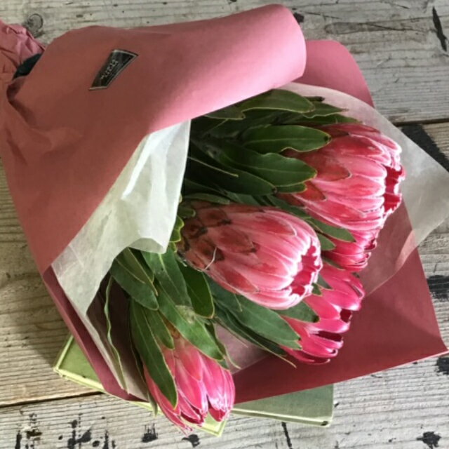 プロテアの花束【生花】/スワッグに!DIY/カ...の紹介画像2