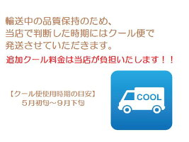 向日葵(ひまわり)のアレンジメント!【大きいサイズ】【生花】誕生日ギフト、記念日、お中元に!!