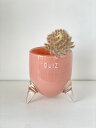 DutZ Collection(ダッツコレクション) エビータサーモン フラワーベース花瓶