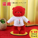 母の日にも 還暦祝いの赤いテディベア 祝還暦 メッセージTシャツ ぬいぐるみ くま 敬老の日 父の日 友人 ギフトにも インパクト プレゼント サプライズ
