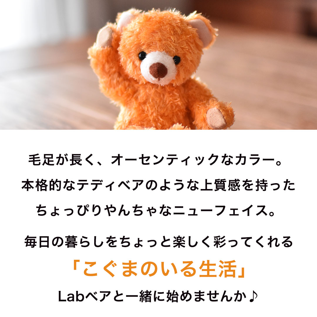5%OFFクーポン発行中★Labベア 身長12cm(4S) [名入れできます] ミニテディベア ノベルティ ぬいぐるみ マスコット くま キーホルダー 男の子 女の子 誕生日プレゼント 父の日 母の日 花以外 ホワイトデー お返し