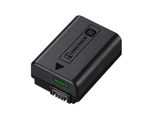 Globalsmart 新品 SONNY FinePix JV160 カメラ互換 WKWバッテリー【1200mAh 3.7V】 オリジナル充電器対応 互換対応機種カメラ 交換可能バッテリーバッテリー 充電池 高品質セル搭載【日本国内倉庫発送】【送料無料】 予備バッテリー