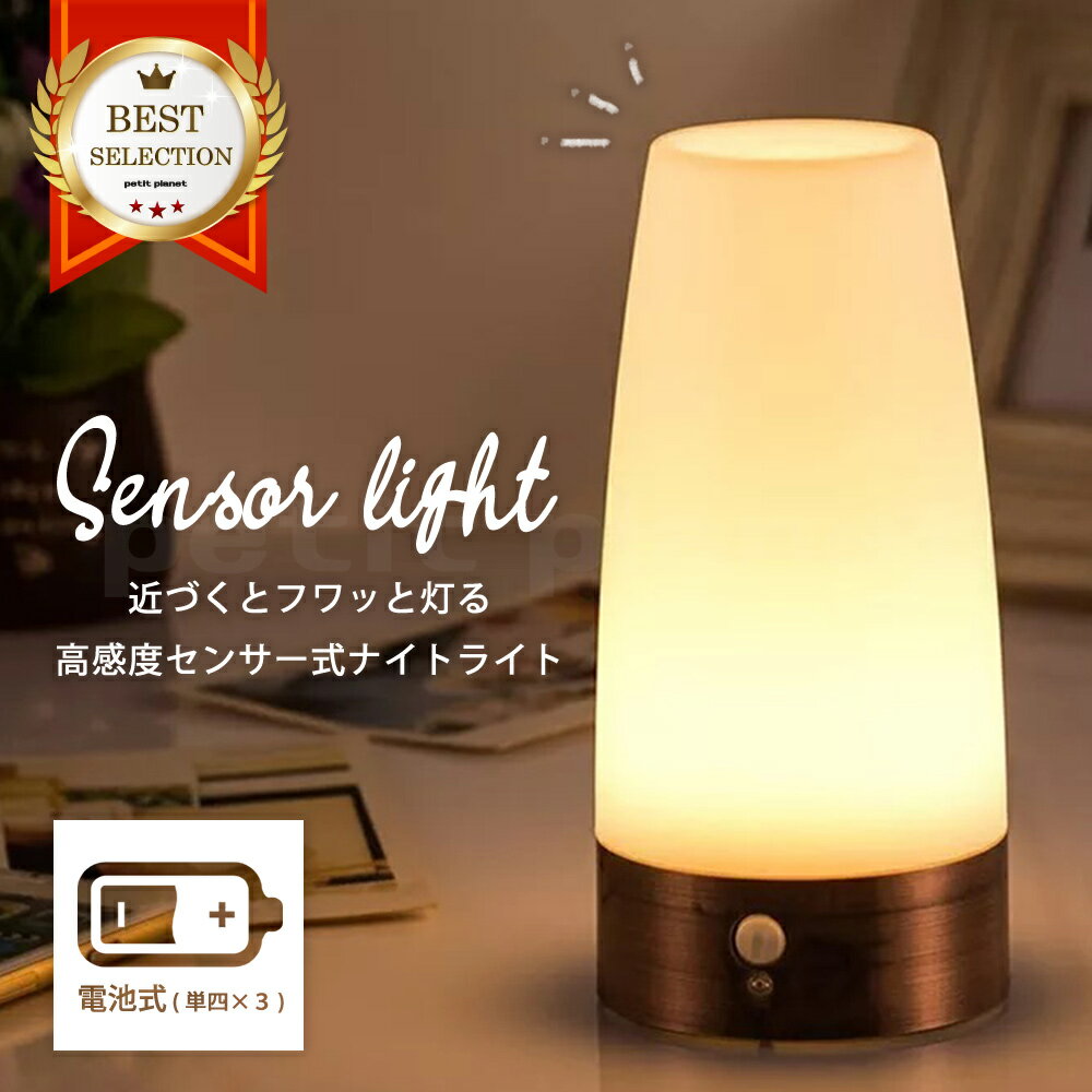 【送料無料】LED 人感センサーライ