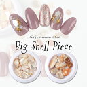 メール便 BIGシェルピース ネイル ジェル ジェルネイル シェル パーツ ストーン クラッシュシェル ナチュラル 天然 貝殻 貝のパーツ レジン 材料 レジン封入 ハンドメイド 海 夏 夏ネイル 春ネイル 夏ネイル