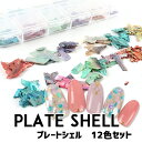 メール便 プレートシェル12色セット | ネイル セルフネイル ジェル ジェルネイル シェル 貝殻 シェルネイル 夏 グリッター ラメ ネイルナゲット ネイルアート ニュアンスネイル フットネイル 夏 サマー