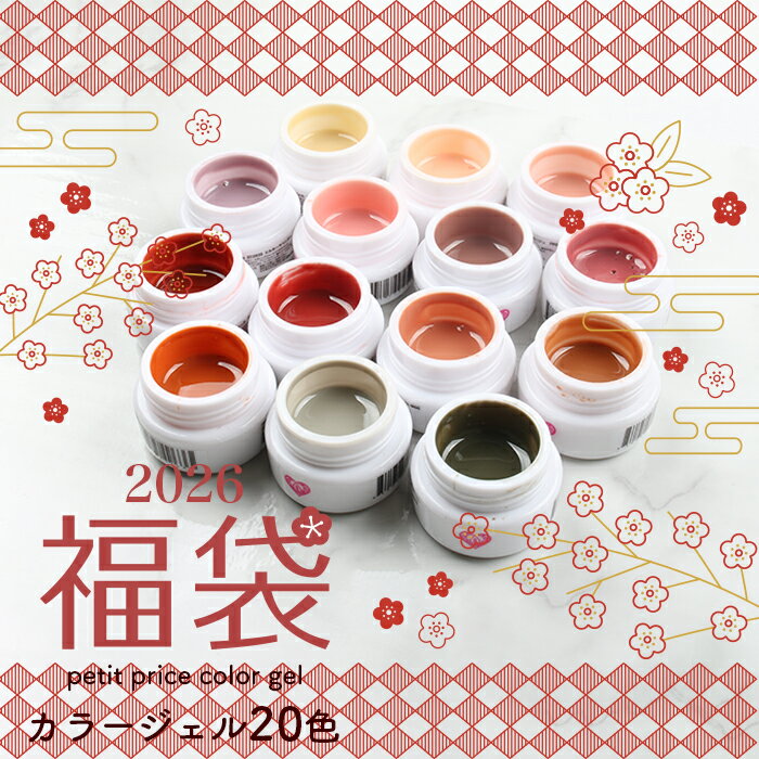 福袋 カラージェル20色セット 福袋 HAPPYBAG 1000円 ぽっきり カラージェル ジェルネイル ジェル プチプラ プチプラカラージェル